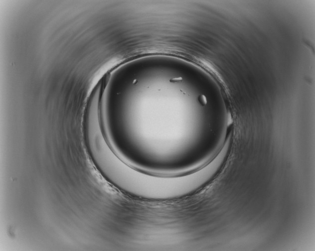 X0000102831138200808251128