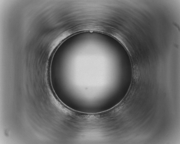 X0000102831139200808251128