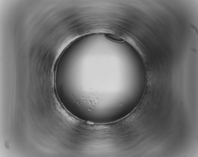 X0000102831140200808251128