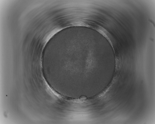 X0000102831141200808251128