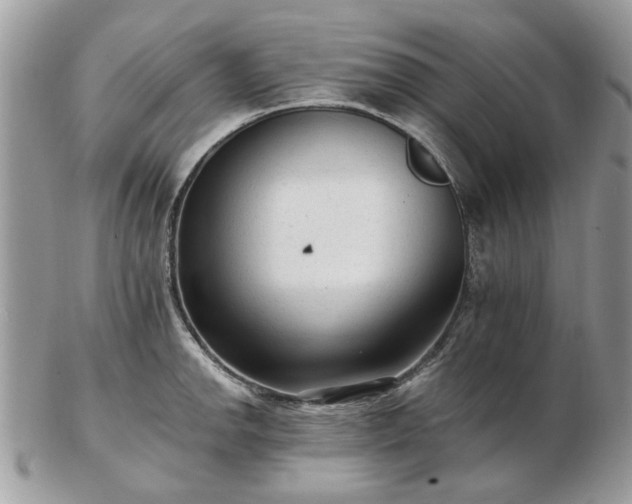 X0000102831142200808251128