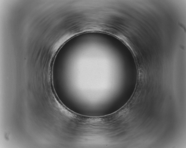 X0000102831143200808251128