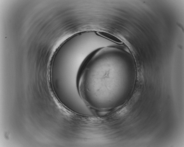 X0000102831144200808251128