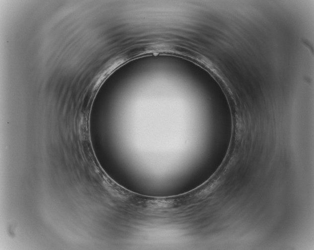 X0000102831145200808251128