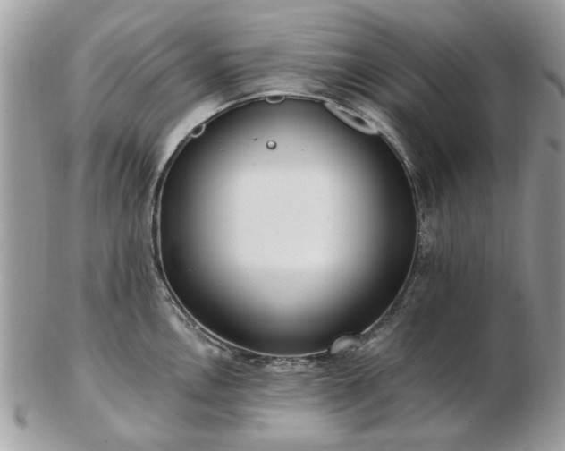 X0000102831146200808251128