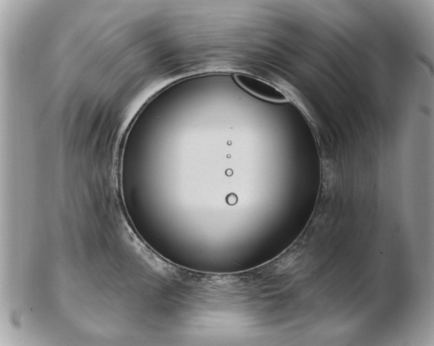 X0000102831148200808251128