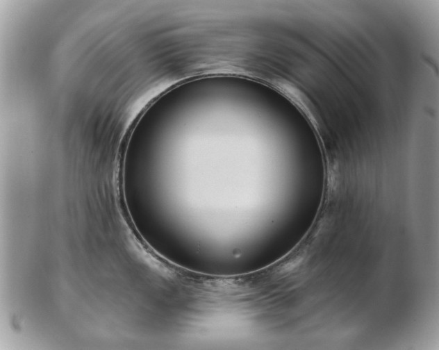 X0000102831149200808251128