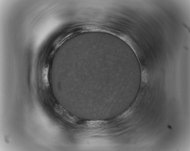 X0000102831150200808251128