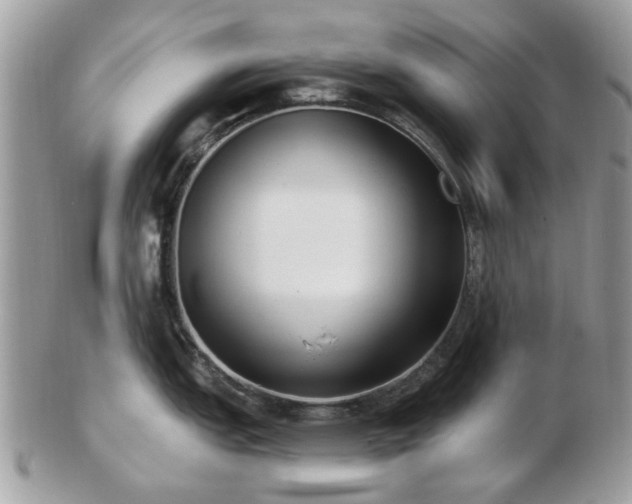 X0000102831151200808251128