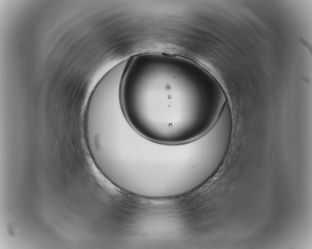 X0000102831152200808251128