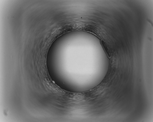 X0000102831153200808251127