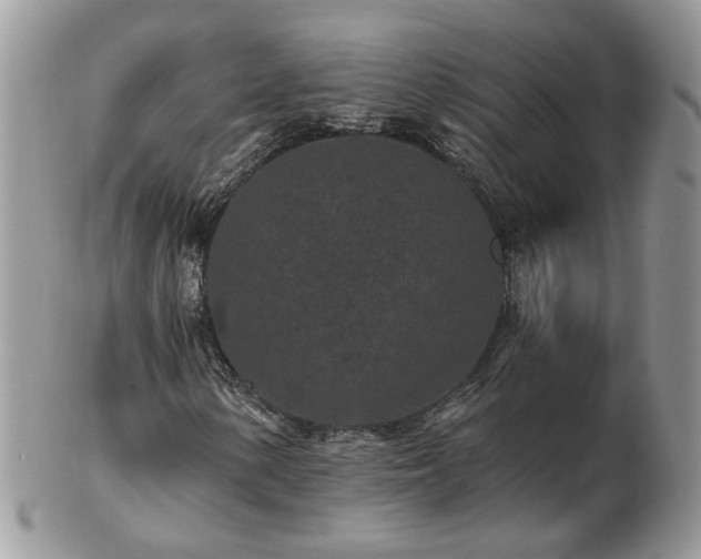 X0000102831154200808251127