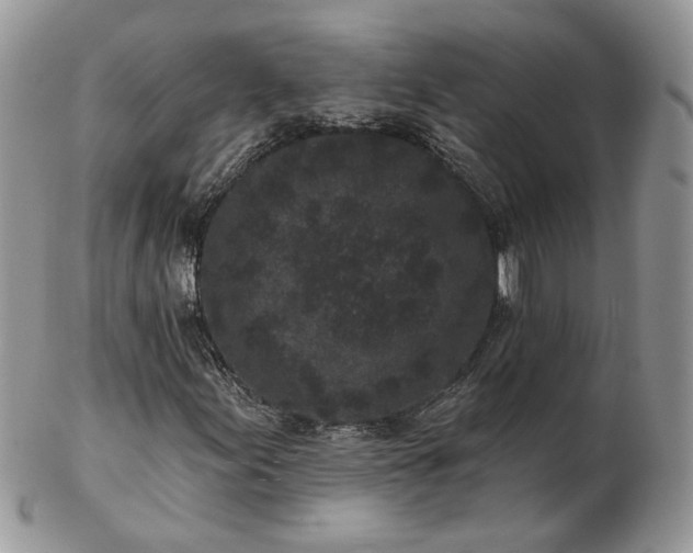 X0000102831155200808251127