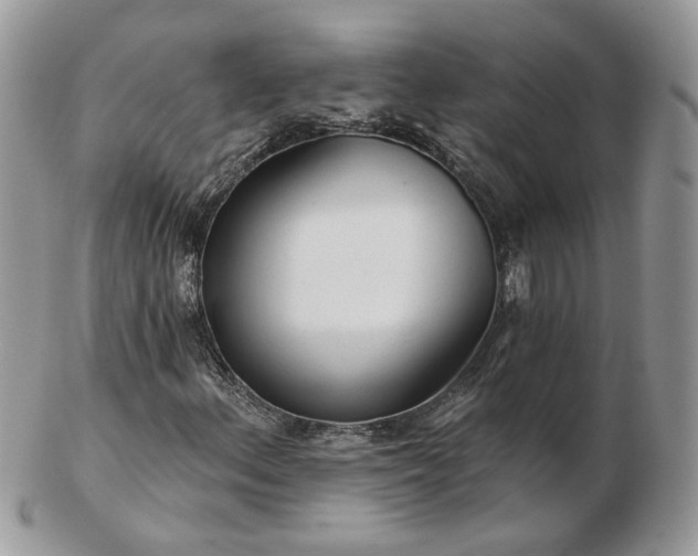 X0000102831156200808251127