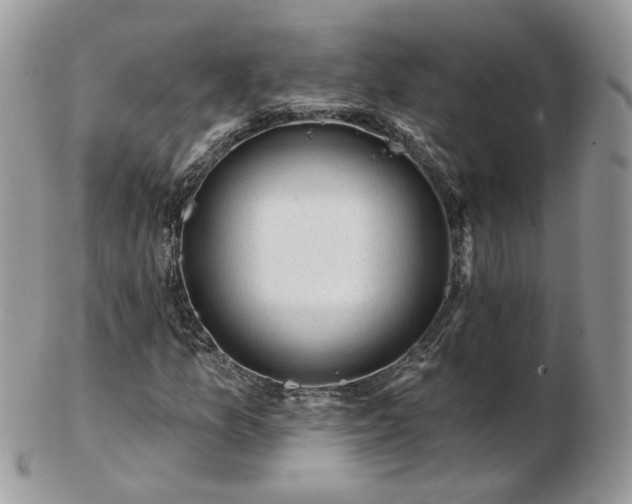 X0000102831157200808251127