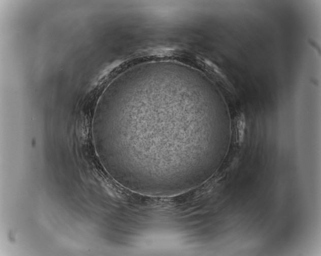 X0000102831158200808251127