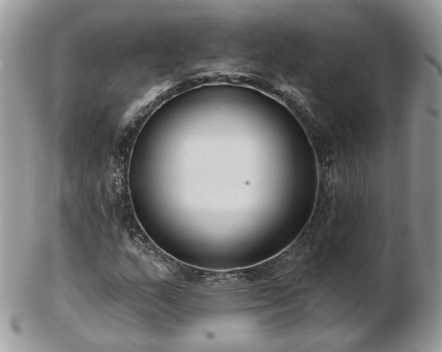 X0000102831159200808251127