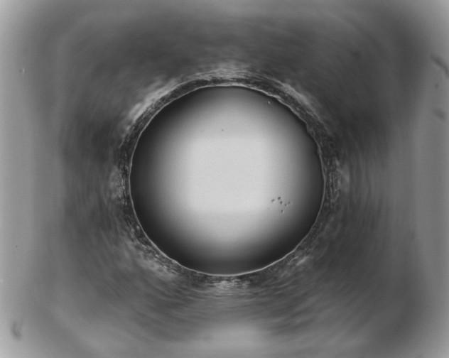 X0000102831160200808251127