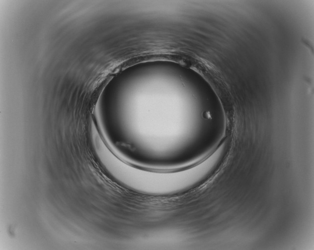 X0000102831161200808251127