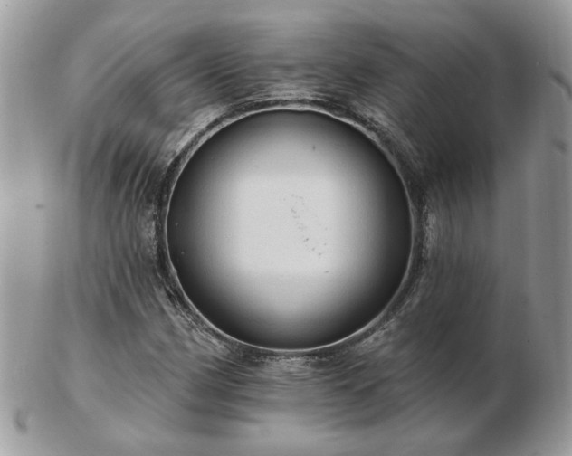 X0000102831162200808251127