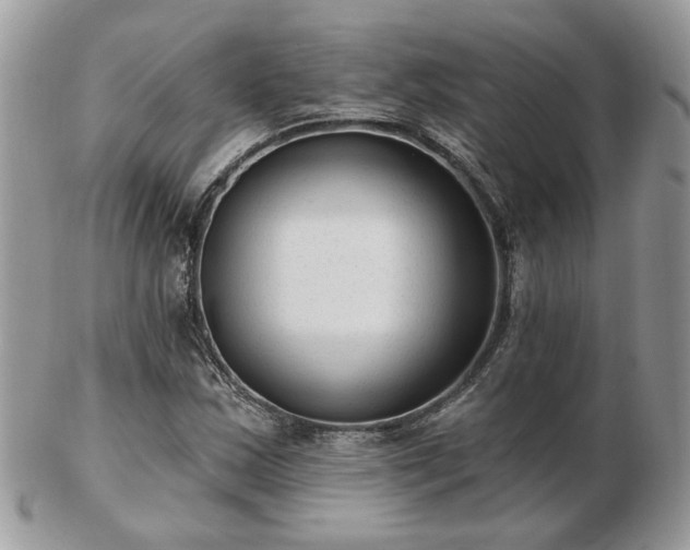 X0000102831163200808251127