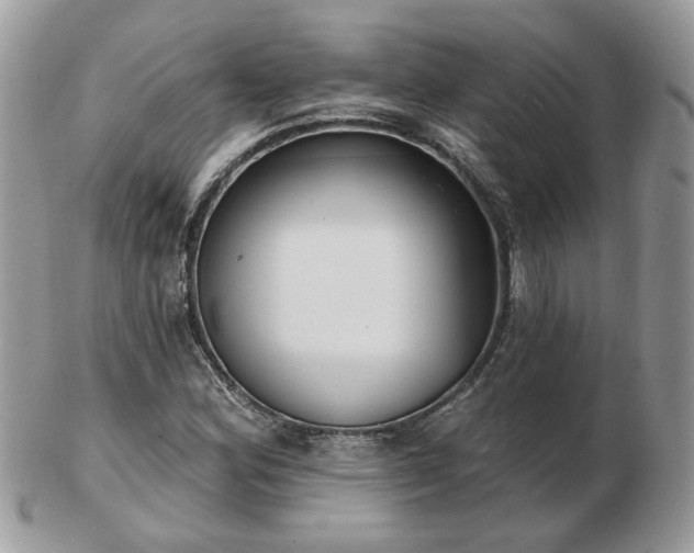 X0000102831164200808251127