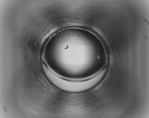 X0000102831165200808251127