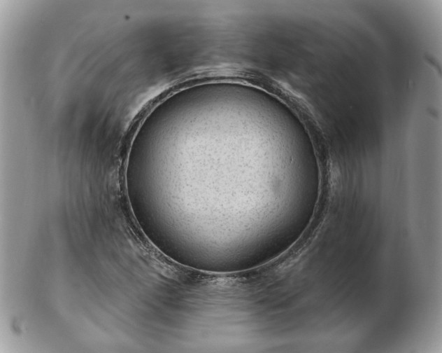 X0000102831166200808251127