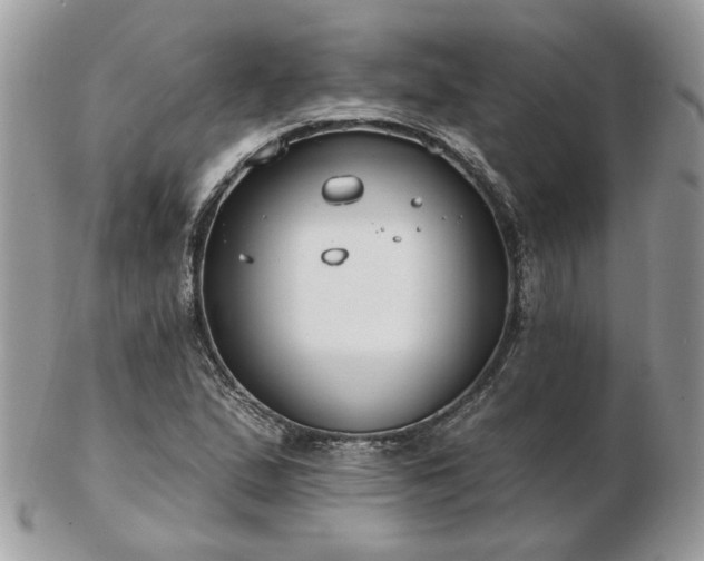 X0000102831167200808251127