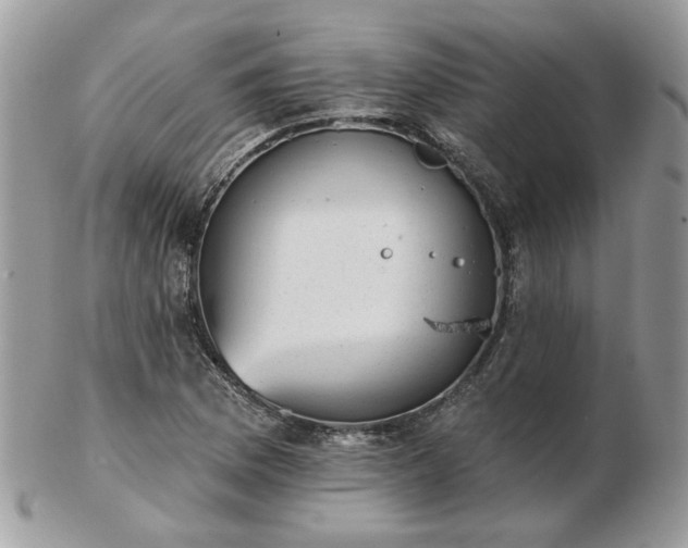 X0000102831169200808251127