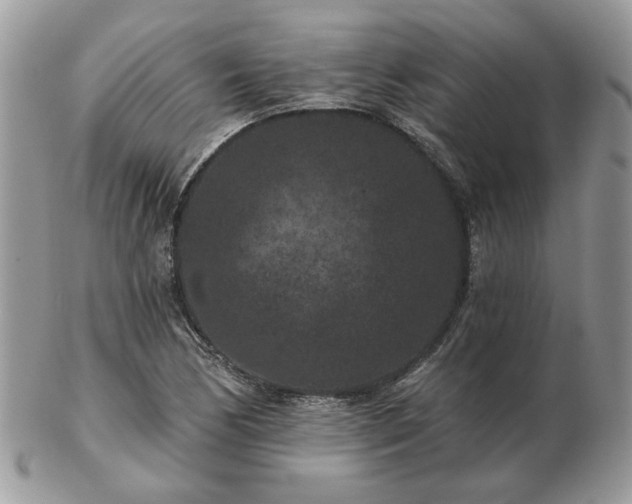 X0000102831170200808251127