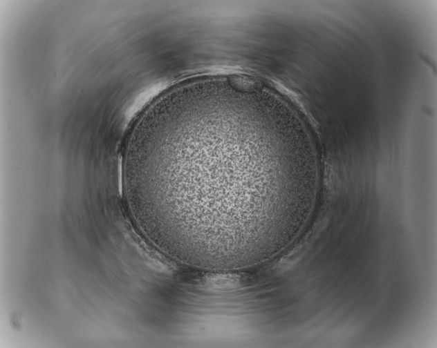 X0000102831171200808251127