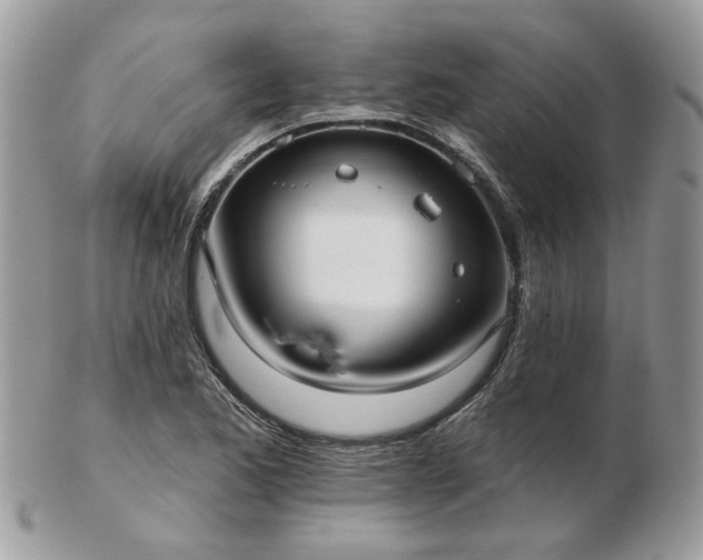 X0000102831173200808251127