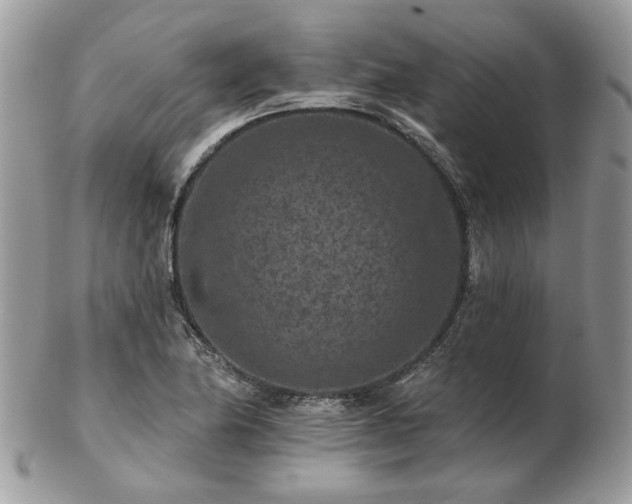 X0000102831174200808251127