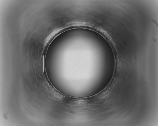 X0000102831175200808251127