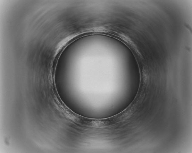 X0000102831176200808251127