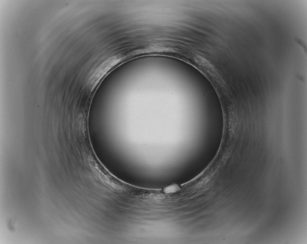 X0000102831177200808251127