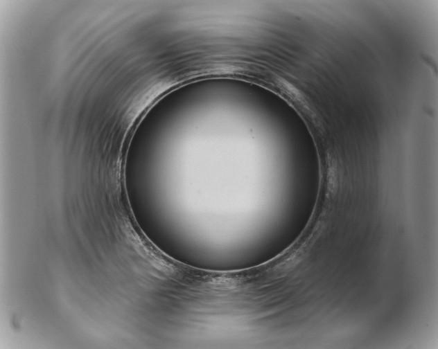 X0000102831178200808251127