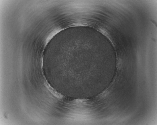 X0000102831179200808251127