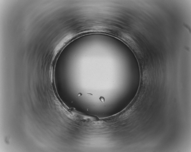 X0000102831180200808251127