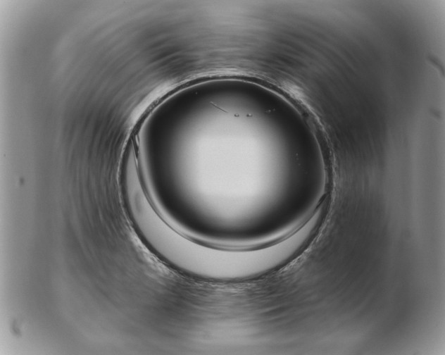 X0000102831181200808251127