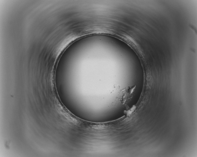 X0000102831182200808251127