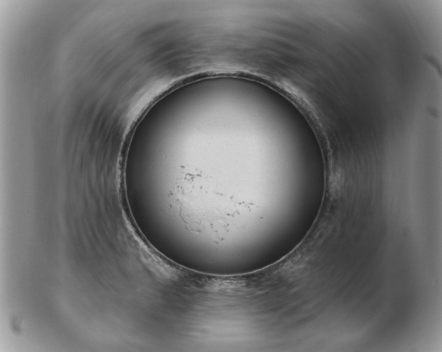 X0000102831183200808251127