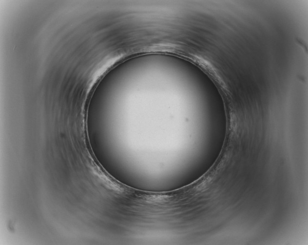 X0000102831184200808251127