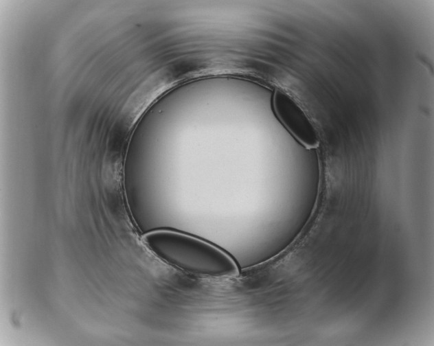 X0000102831185200808251127