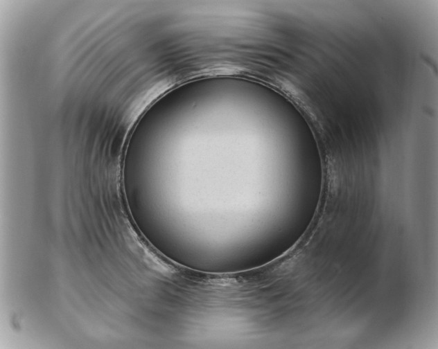 X0000102831186200808251127