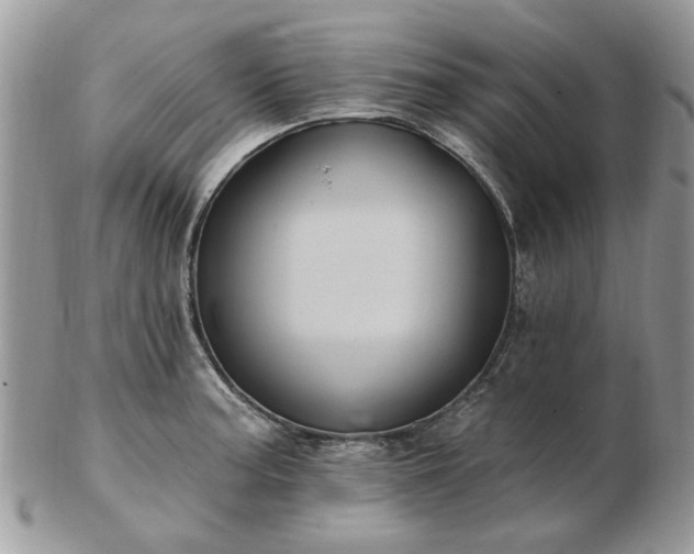 X0000102831187200808251127