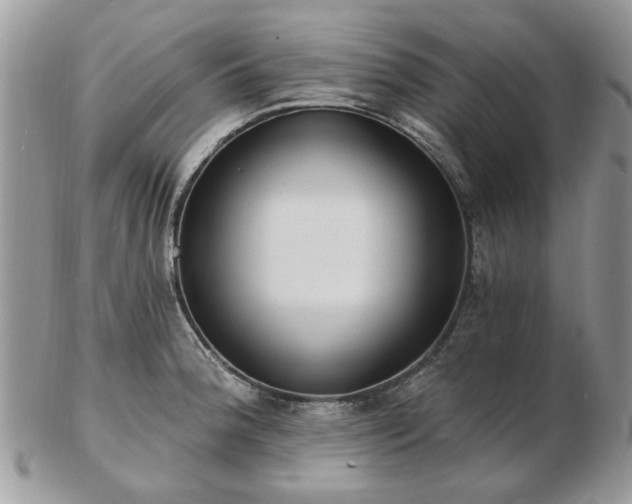 X0000102831188200808251127