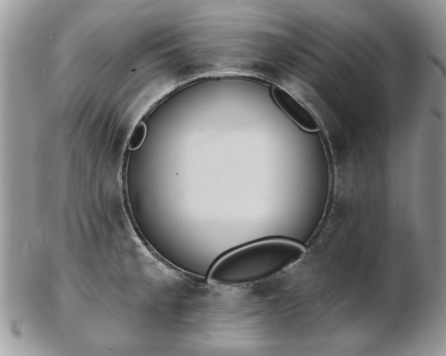 X0000102831189200808251127