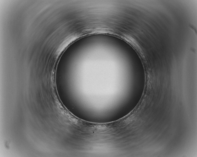 X0000102831190200808251127